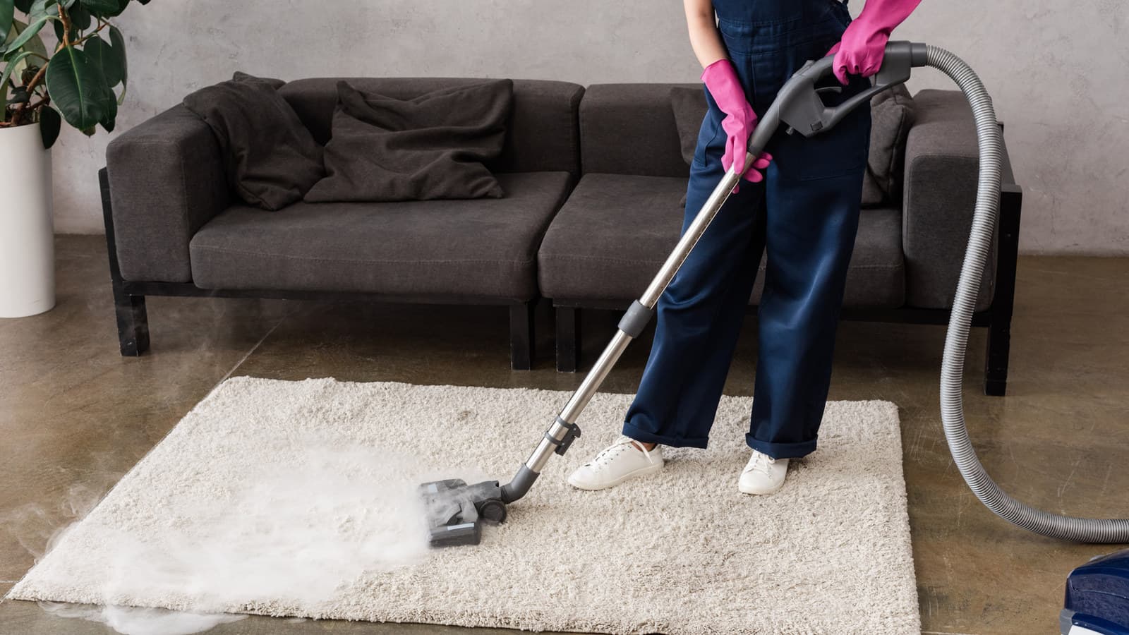 Professional carpet cleaning with van-mounted extraction equipment