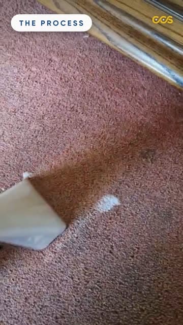 Watch a Warrington lounge carpet cleaned, stains and all