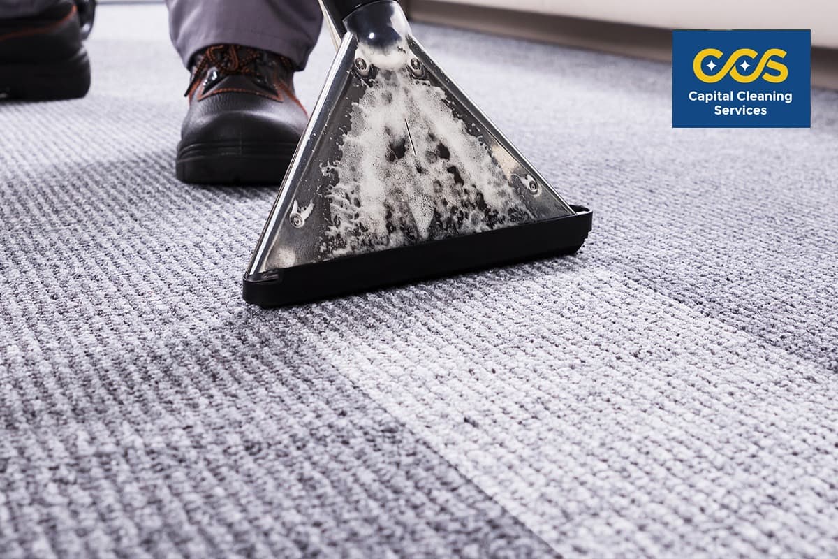End of tenancy carpet cleaning
