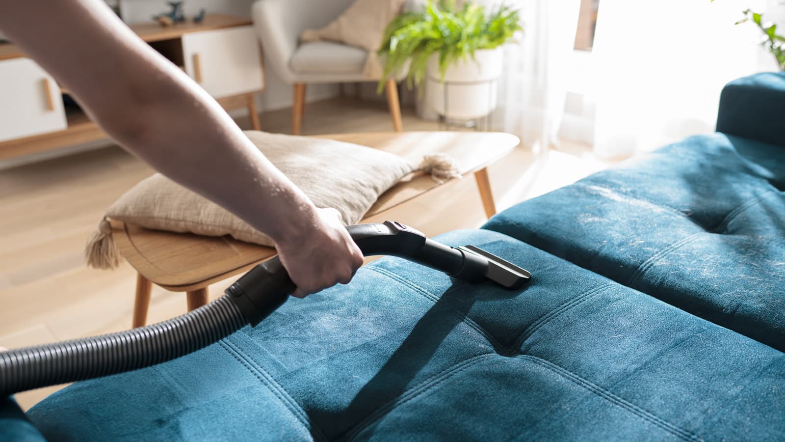 Professional upholstery cleaning by the CCS team